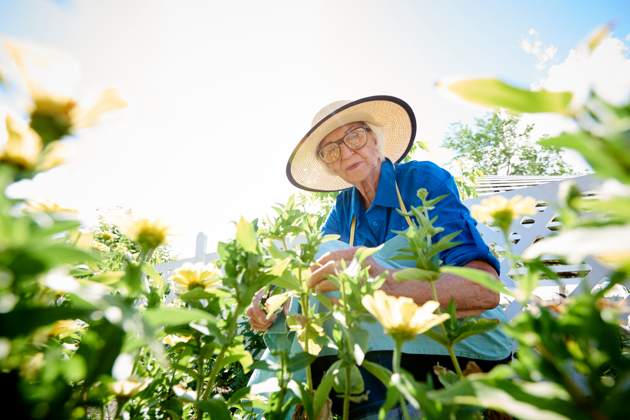 Low angle portrait of smiling senior woman caring for flowers in garden, copy space
